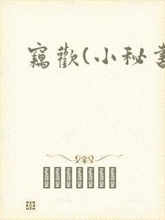 窃欢(小秘书)封面