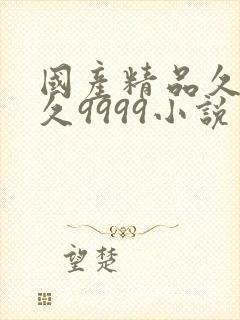 国产精品久久久久9999小说封面