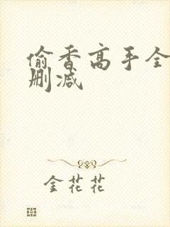 偷香高手全文无删减