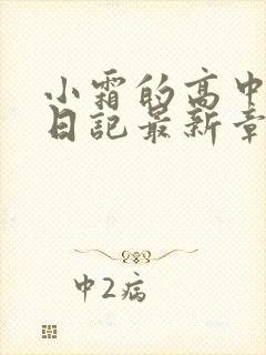 小霜的高中成长日记最新章节封面