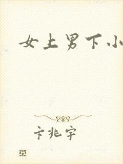 女上男下小说