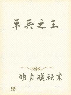单兵之王