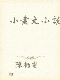 小黄文小说