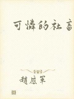 可怜的社畜小说