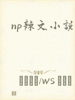 np辣文小说封面