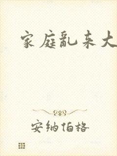 家庭乱来大杂烩封面