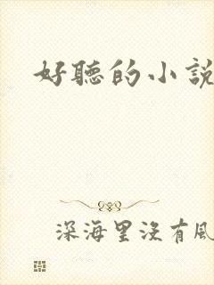 好听的小说名字封面