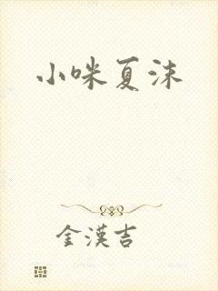 小咪夏沫封面