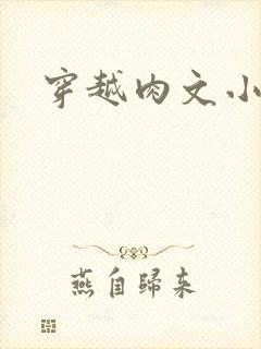 穿越肉文小说