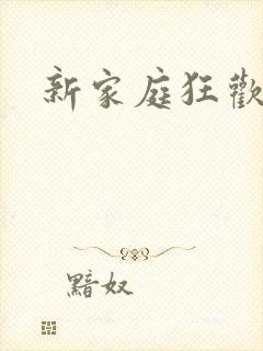 新家庭狂欢小说