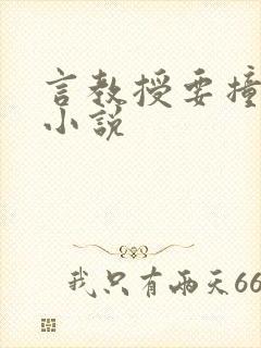 言教授要撞坏了小说