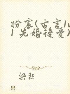 盼寡(古言1v1 先婚后爱)