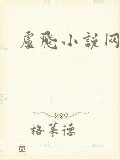 卢飞小说网封面