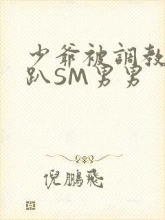 少爷被调教室跪趴SM男男封面