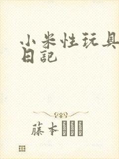 小米性玩具羞辱日记