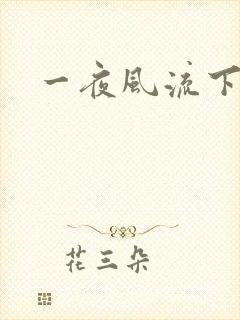 一夜风流下载