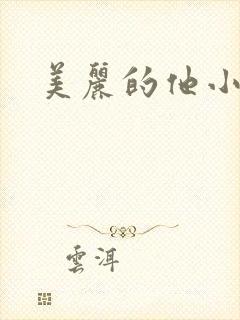 美丽的他小说封面