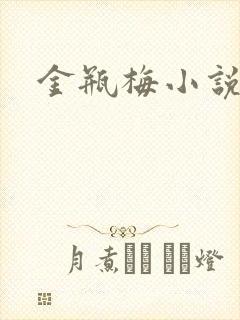 金瓶梅小说下载