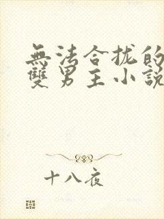 无法合拢的总裁双男主小说