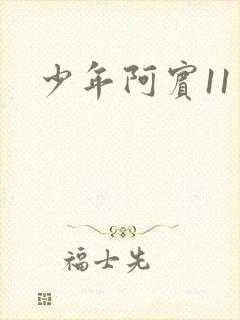 少年阿宾11封面