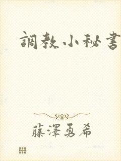 调教小秘书封面