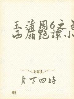 玉蒲团6之色情西厢艳谭小说封面