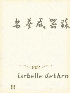 名养成器苏沫沫