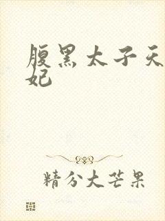 腹黑太子天降萌妃