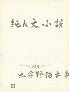 纯h文小说