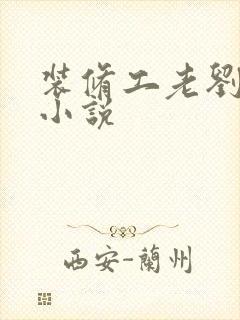 装修工老刘林雪小说