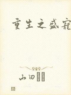 重生之盛宠