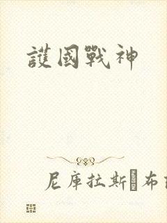 护国战神