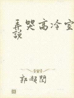 弄哭高冷室友小说