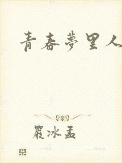 青春梦里人封面