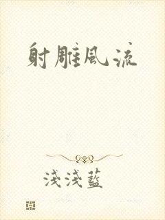 射雕风流