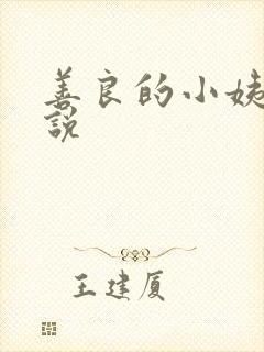 善良的小姨子小说