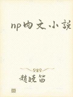 np肉文小说