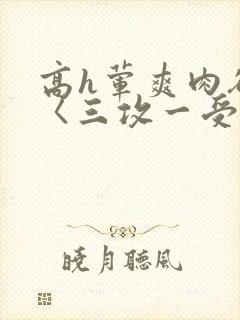 高h荤爽肉欲文〈三攻一受