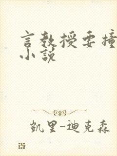 言教授要撞坏了小说