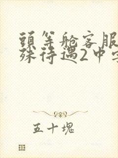 头等舱客服的特殊待遇2中字封面