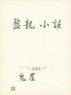 盘龙 小说