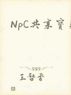 NpC共享宝贝封面