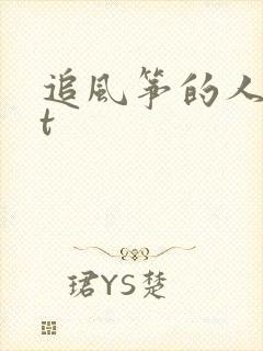 追风筝的人txt封面