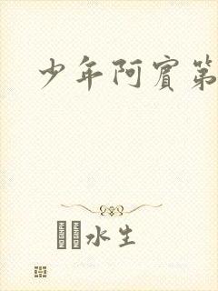 少年阿宾第二部