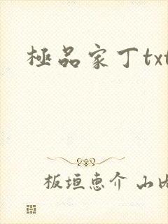 极品家丁txt
