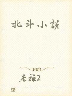 北斗小说