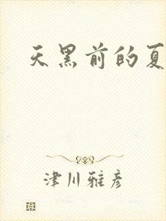 天黑前的夏天
