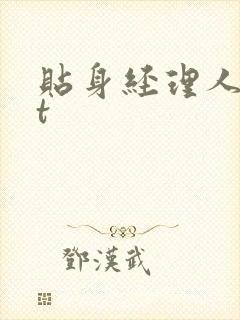 贴身经理人txt封面