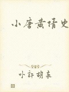 小唐黄倩史