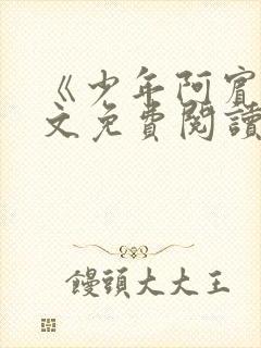 《少年阿宾》全文免费阅读封面